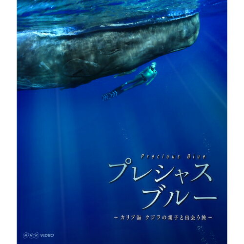 プレシャス・ブルー カリブ海・クジラの親子と出会う旅 BD