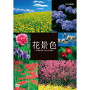 エントリーで全品ポイント10倍500円クーポン発行中!花景色 〜四季を彩る 日本の名風景〜 DVD