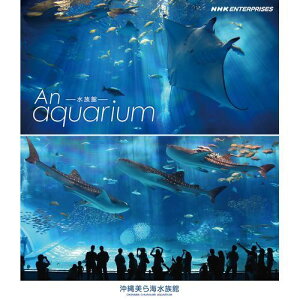 500円クーポン発行中！水族館 ―An Aquarium ～沖縄美ら海水族館～ ブルーレイ