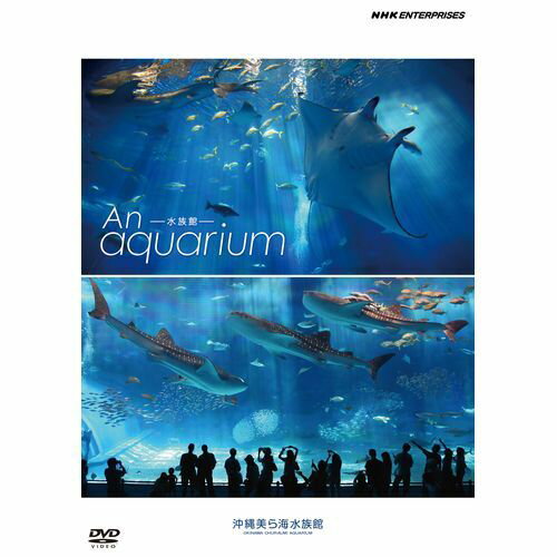 全品ポイント10倍！11日1：59まで500円クーポン発行中！水族館 ―An Aquarium ～沖縄美ら海水族館～ DVD