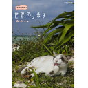 エントリーで全品ポイント10倍500円クーポン発行中!岩合光昭の世界ネコ歩き 沖縄 DVD