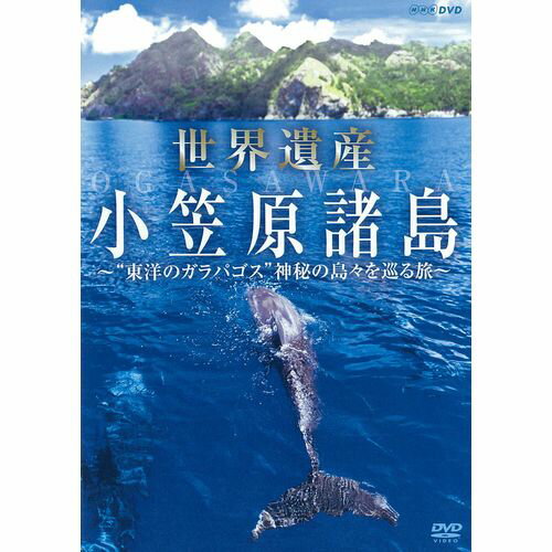 世界遺産 小笠原諸島 “東洋のガラパゴス” 神秘の島々を巡る旅