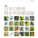 美しく個性的な“鳴き声”をもつ日本の野鳥260種類の「鳴き声」「映像」「解説」を1枚に凝縮日本でみられる野鳥たちの鳴き声を、NHKの膨大な素材から厳選したハイビジョン映像と共にお届けします。収録されている野鳥は全260種！五十音順で検索し、簡単な操作ですぐにその鳴き声を聞くことができます。さらに「日本野鳥の会」の松田道生氏書き下ろしによる、野鳥の生態の詳しい解説も収録！「鳴き声」「映像」「解説」を1枚に凝縮しました。まさに、映像でみる“野鳥の鳴き声図鑑”の決定版です！【主な収録内容】［ア行］アオジ、アカショウビン、ウグイス、ウソ、オオルリ、オシドリ［カ行］キビタキ、コハチョウ、コヨシキリ［サ行］サンコウチョウ、シジュウカラ、シマフクロウ、ジョウビタキ、センダムシクイ［ナ行］ノゴマ［マ行］ミソサザイ、モズその他、全260種類を収録【監修】松田道生（日本野鳥の会：理事）※映像と音声は収録した場所が違うものも含まれています。*収録時間:約109分／1920×1080i Full HD／ステレオ・リニアPCL／カラー