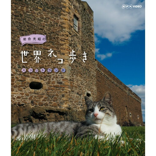 【ファミリー倶楽部 オリジナル商品】動物カメラマン・岩合光昭さんがかわいいネコたちをもとめて世界を歩きます。野生動物を追い求めて世界中を飛び回っている動物カメラマン・岩合光昭さん。40年来撮り続けてきたネコを、今回はムービーカメラを携えて本格的な動物撮影に挑みます！路地を這いつくばり見つめるネコの一日。街の中でネコは、どんなふうに歩き回り、どんな表情を見せるのでしょうか？その撮影風景をちょっとのぞいてみましょう。【収録内容】古城を我が物顔で歩くネコ。鏡とにらめっこするニャン！ やんちゃなベンガルネコは、木登り途中で落ちかけて、なんと懸垂しちゃう？ 「1日のうちに四季がある」と言われるほど天気の変わりやすいスコットランド。 急に降ってきた雨にネコたちは大慌て！急いで雨宿りします。 スコティッシュ・ガーデンでは、なぜかバラの茎を揺らすニャン！ 綿毛の舞う中を立ち去る白黒のニャンを、岩合さんが見つめます。【出演】岩合光昭【語り】塚本高史【封入特典】・リーフレット（8ページ）・ポストカード○2014年11月26日 BSプレミアムで放送*収録内容：本編59分＋特典20分／1920×1080i Full HD／ステレオ・リニアPCM／一層／カラー／チャプター付