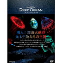 エントリーで全品ポイント10倍BD NHKスペシャル ディープ オーシャン 潜入!深海大峡谷 光る生物たちの王国