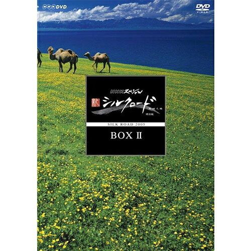 NHKスペシャル 新シルクロード 特別版 DVD-BOXII（新価格）全5枚