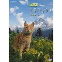 エントリーで全品ポイント10倍岩合光昭の世界ネコ歩き スイス DVD