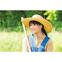 連続テレビ小説なつぞら完全版ブルーレイBOX2全5枚
