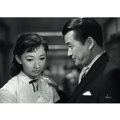 映画 しあわせはどこに DVD