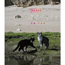 エントリーで全品ポイント10倍岩合光昭の世界ネコ歩き 沖縄 久高島 ブルーレイ BD