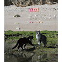 エントリー＆複数購入でP最大10倍UP 16日1:59まで岩合光昭の世界ネコ歩き 沖縄 久高島 ブルーレイ BD