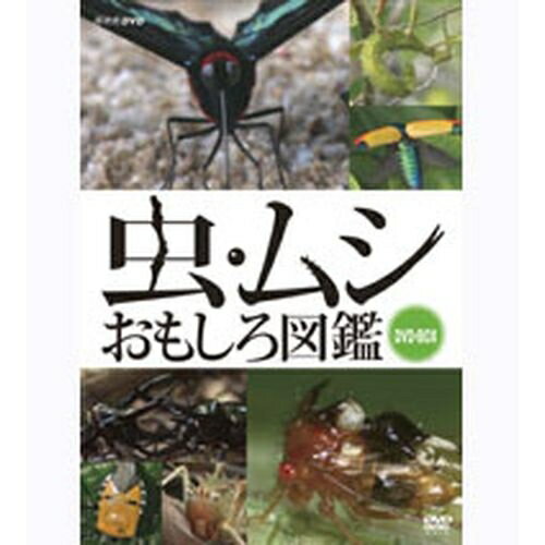 500円クーポン発行中!虫・ムシ おもしろ図鑑 DVD全3枚セット