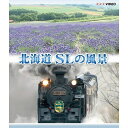 エントリーで全品ポイント10倍北海道 SLの風景
