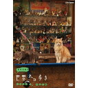 エントリーで全品ポイント10倍500円クーポン発行中!岩合光昭の世界ネコ歩き ソレントとカプリ島 地中海の街角で愛しいネコと出会う旅!