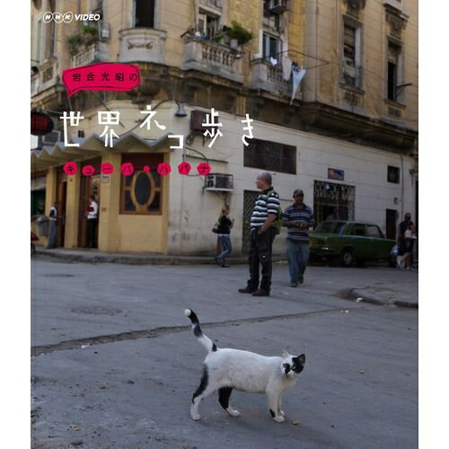 500円クーポン発行中！岩合光昭の世界ネコ歩き キューバ・ハバナ動物カメラマン・岩合光昭さんがかわいいネコたちを…