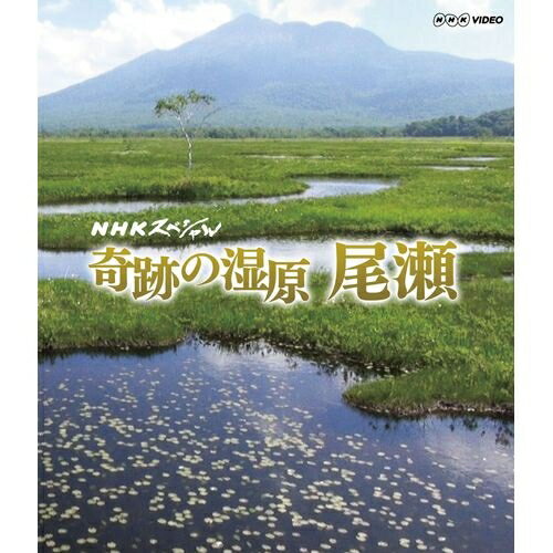 NHKスペシャル 奇跡の湿原 尾瀬 冬から初夏にかけて、最新の研究調査を交え雪が育んだ奇跡の湿原の物語へと誘います。ブルーレイディスク（Blu-ray Disc）