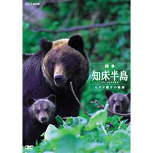 四季・知床半島〜ヒグマ親子の物語〜