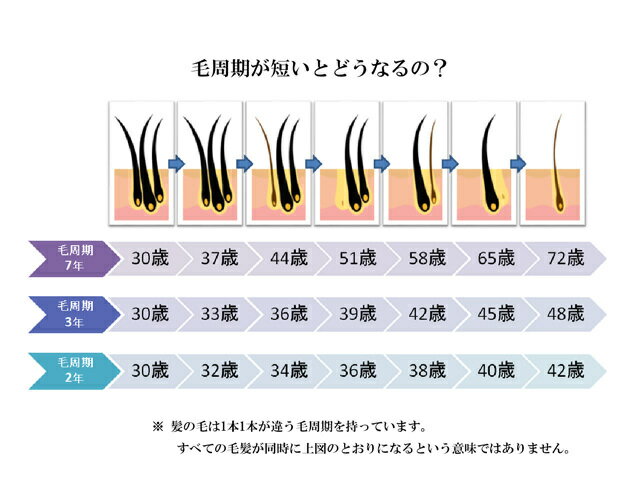 レキシリス.ブラックスカルプローション 100ml 【薬用育毛剤】