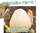 【送料無料】　数量限定【担々麺】プリンセスグリーンライチ（妃子笑）500g【坦々麺/担担麺/坦坦麺/ ...