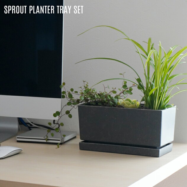 SPROUT PLANTER TRAY SET スプラウト プランター トレイ セットyard ヤード長角24cm 室内 長方形 プランター 屋内使用 キッチン菜園 野菜 多肉植物 横長