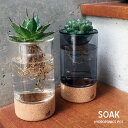 SOAK HYDROPONICS POT ソーク ハイドロポニックス ポットyard ヤード水耕栽培用 水栽培 ポット 球根 花瓶 多肉植物 フラワーベース 一輪挿し ガラス ポット ヒヤシンス ムスカリ サボテン ハイドロカルチャー 花器 おしゃれ