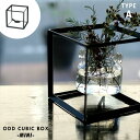 【TYPE A】ODD CUBIC BOX -MINI-/ オッド キューブ ボックス ミニ WEST VILLAGE TOKYO ウエストビレッジトーキョー W16×16×H16cm プランター 植物 アイアン 鉄 プランツ 植物スタンド 宙に浮く キャンドルスタンド