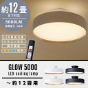 【12畳タイプ】Glow LED Ceiling Lamp 5000 / グロー LED シーリングランプART WORK STUDIO アートワークスタジオ LED リモコン 5000ルーメン 64W 高寿命 調光 色調切り替え おしゃれ シーリングライト 照明 ライト 工事不要 天井照明 〜約12畳用 AW-0555