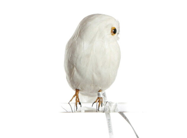 Owl White　【S】横向き　フクロウ PUEBCO Artificial Birdsプエブコ アーティフィシャルバード107073【あす楽対応_東海】