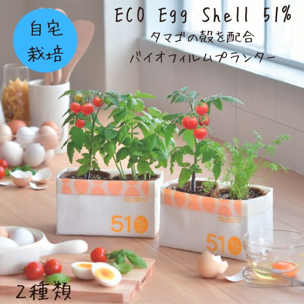 父の日 ミニトマト 栽培キット 家庭菜園 おうち菜園 インテリアグリーン ギフト おしゃれ かわいい ECO Egg Shell 51% 体験型ギフト プレゼント