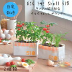 新生活 母の日 父の日 栽培キット 家庭菜園 おうち菜園 インテリアグリーン ギフト おしゃれ かわいい ECO Egg Shell 51% 体験型ギフト プレゼント