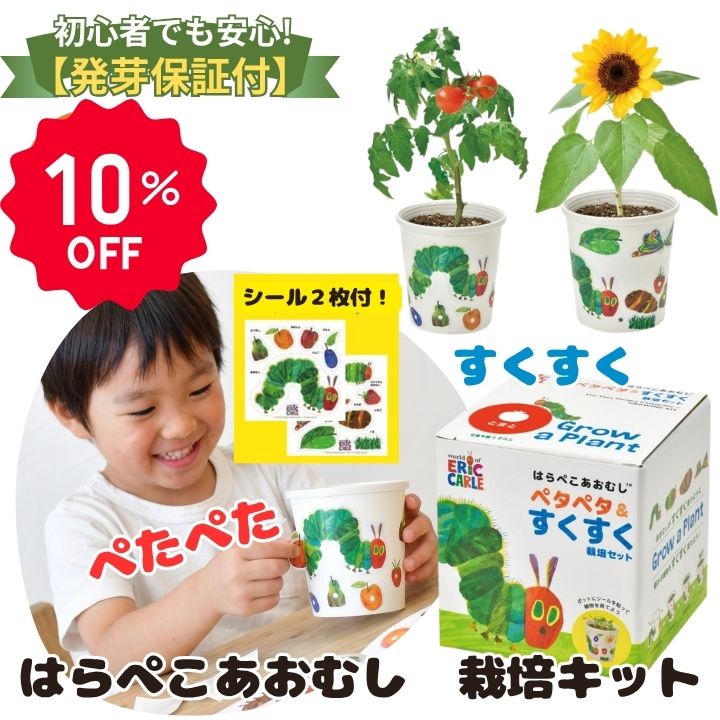 【6/10 P10倍】【10％OFF】栽培キット 野菜 室内 だいこん レタス トマト ヒマワリ 子