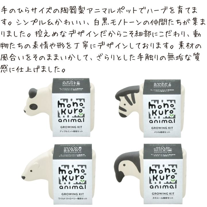 【10％OFF】栽培キット プレゼント ギフト 家庭菜園 おうち菜園 おうち時間 シンプ...