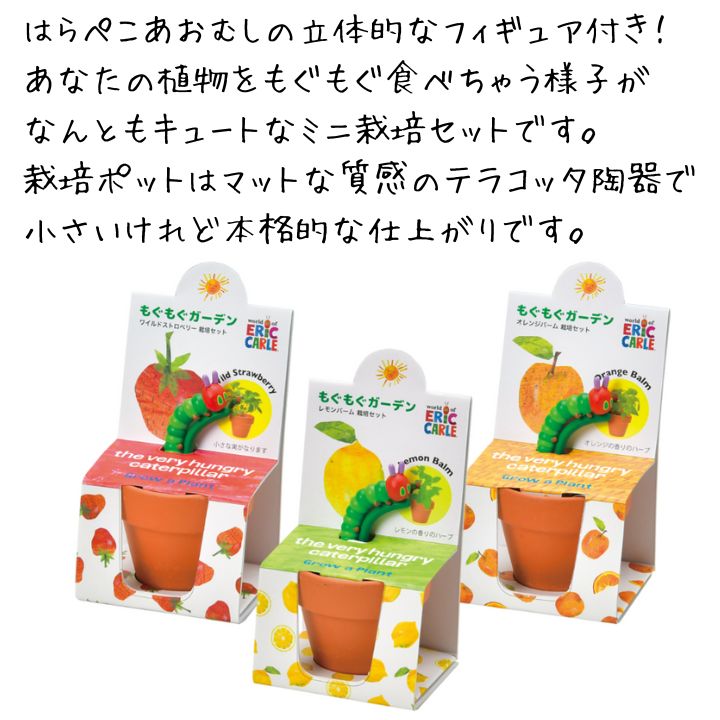 【10％OFF】栽培キット はらぺこあおむし もぐもぐガーデン 室内 ハーブ 子供 家庭...