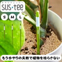 サスティー シングルパック(個包装)sustee グリーン 水やりチェッカー 植物の水分計 栽培キット 観葉植物 盆栽 植物 水やり 水 土 鉢 おしゃれ チェッカー 7/19-26 マラソン限定! P最大48倍!