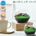 母の日 栽培キット 観葉植物 ガーデニング 園芸 室内 観賞 プレゼント ギフト 和風 アクアリウム インテリア 育てる水草 Sサイズ 体験型ギフト プレゼント...