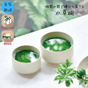 母の日 栽培キット 観葉植物 室内 観賞 プレゼント ギフト 和風 美濃焼 アクアリウム スタイリッシュ インテリアグリーン 体験型ギフト プレゼント ポイント...