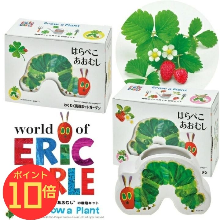 【エントリーでP10倍】シール付 はらぺこあおむし わくわく陶器ポットガーデン ワイルドストロベリー ..