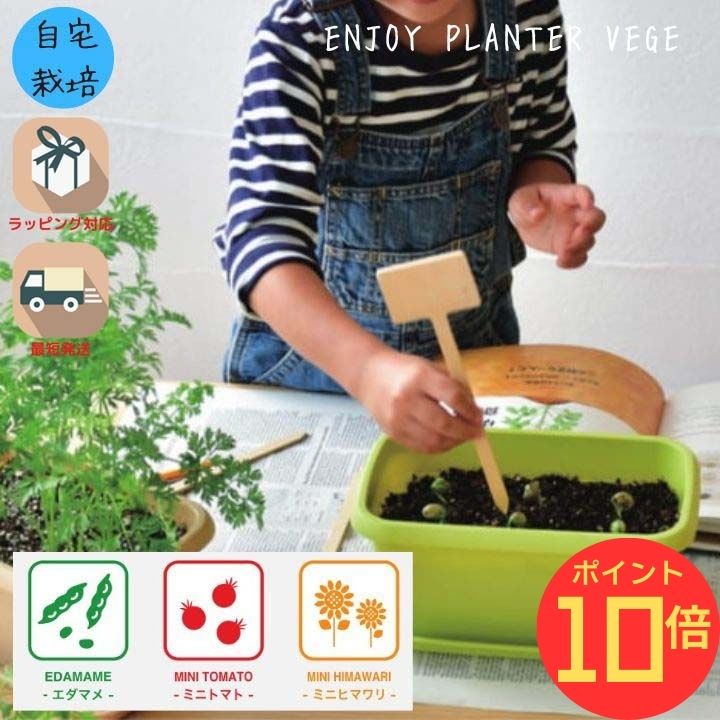 ペットボトル 栽培 キット 日本製 水耕栽培 家庭菜園 セット 手軽 簡単 (ミニトマト)