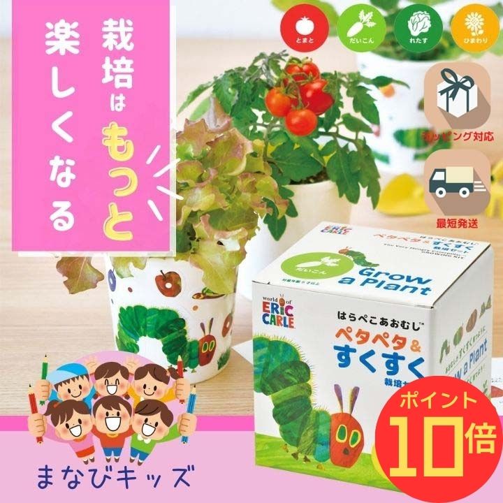 【スーパーセール10%オフ!xエントリーで全品P10倍】シール付 栽培キット 野菜 室内 だいこん レタス トマト ヒマワリ 子供 家庭菜園 自由研究 観察 初心者向け 栽培セット おうち時間 食育 学習キット おしゃれ はらぺこあおむしペタペタ＆すくすく