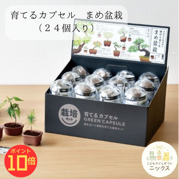 ↑このバナーから必ずエントリーをしてポイント10倍を獲得してください↑ 何が出るかはお楽しみ！ カプセルの中に広がる小さな四季の風景。 種から育てる本格まめ盆栽栽培セットです。 高級感のある陶器鉢で、黒松や紅葉を愛でる 心安らぐ癒やしの時間をお楽しみください。 初心者でも手軽に始められるオールインワンキット。 自分へのご褒美や、大切な方へのギフトにも最適です。↑このバナーから必ずエントリーをしてポイント10倍を獲得してください↑ 何が出るかはお楽しみ！カプセルに詰まった小さな四季 手のひらサイズで本格的な盆栽体験を。 カプセルを開けるワクワク感と、芽吹く喜びを同時に味わえる「まめ盆栽栽培セット」が登場。 高級感あふれる本格陶器鉢がセットになっているので、インテリアとしても映える逸品です。 黒松、赤松、ケヤキ、もみじの全4種類。 初心者の方でも安心して始められるよう、必要なものはすべて揃っています。 お部屋の中で、日本の伝統美を愛でる穏やかなひとときを過ごしてみませんか？