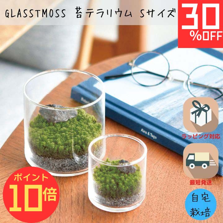 【エントリーでP10倍】シール付 苔 テラリウム 苔テラリウム キット 園芸 栽培キット スナゴケ 苔 こけ 室内ガーデニング グリーンインテリア GLASSTMOSS Sサイズ 体験型ギフト プレゼント ポッキリ ポイント消化