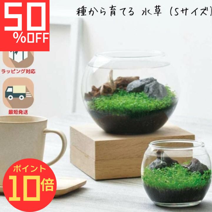【エントリーでP10倍】シール付 栽培キット 観葉植物 ガーデニング 園芸 室内 観賞 プレゼント ギフト 和風 アクアリウム インテリア 育てる水草 Sサイズ 体験型ギフト プレゼント ポッキリ ポイント消化