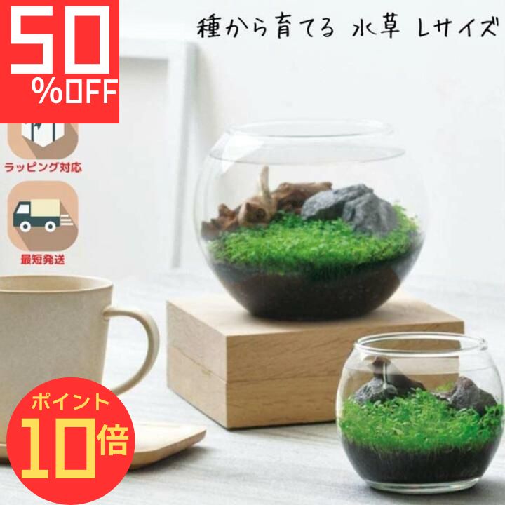【エントリーでP10倍】シール付 栽培キット 観葉植物 ガーデニング 園芸 室内 観賞 プレゼント ギフト 和風 アクアリウム インテリア 育てる水草 Lサイズ 体験型ギフト プレゼント ポッキリ ポイント消化
