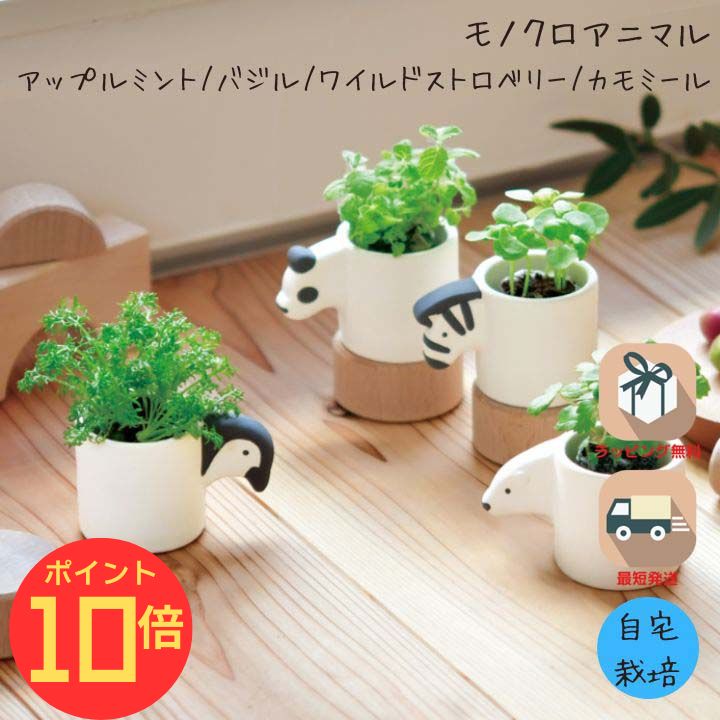 【エントリーで全品P10倍】シール付 栽培キット プレ