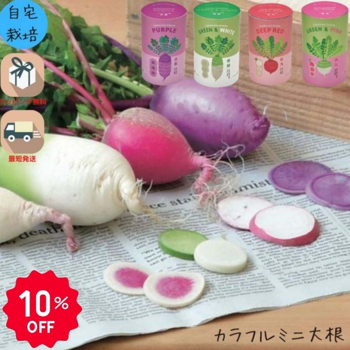 【6/10 P10倍】【10％OFF】栽培キット 家庭菜園 おうち菜園 インテリアグリーン ギフト おしゃれ かわいい おでん 煮物 漬け物 サラダ ミニ大根 体験型ギフト プレゼント ポイント消化 【スーパーSALE】