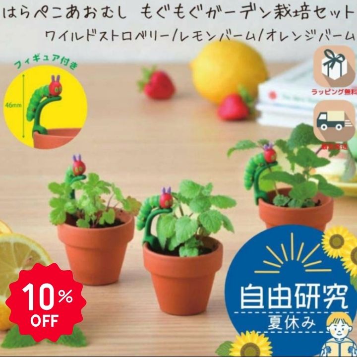 【10％OFF】栽培キット はらぺこあおむし もぐもぐガーデン 室内 ハーブ 子供 家庭...