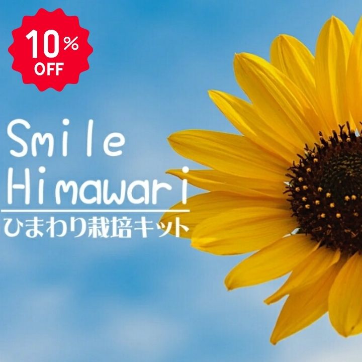 【10％OFF】栽培キット ひまわり ミニヒマワリ ハートビタミン カラー イエロー 子...