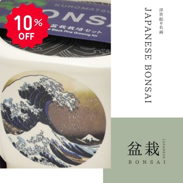 【10％OFF】【プレゼントつき】栽培キット JAPANESE BONSAI 盆栽 松 波富士 赤富士...