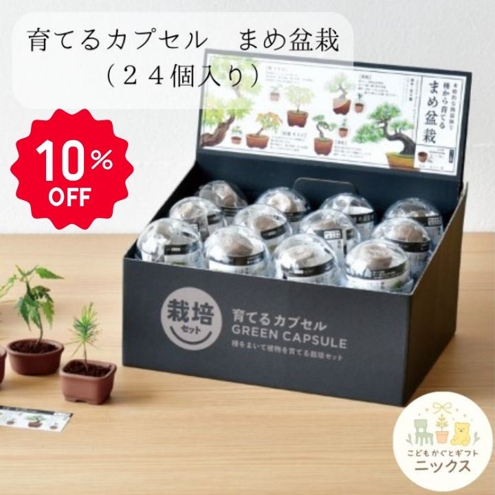 【10％OFF】盆栽 栽培セット 育てるカプセル まめ盆栽 種から育てる 観葉植物 ミニ...