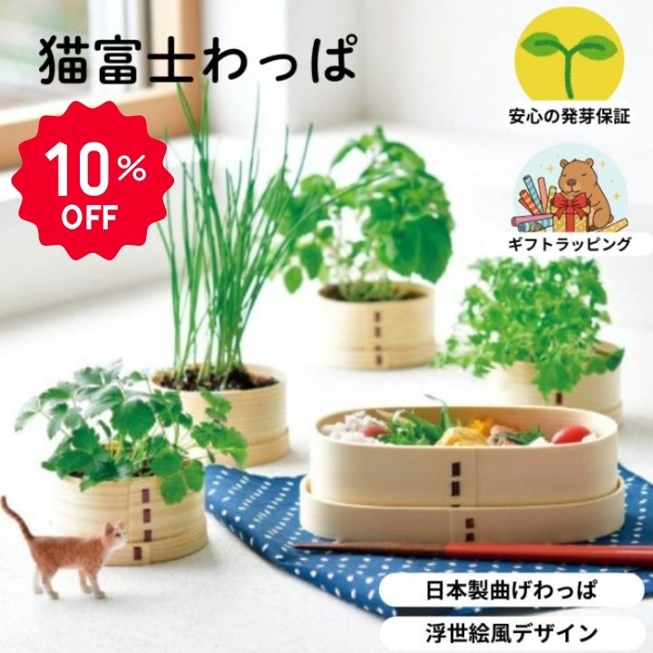 【10％OFF】栽培キット 猫富士わっぱ 聖新陶芸 曲げわっぱ 栽培セット 日本製 四季...